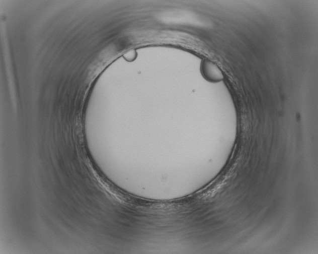 X0000068751521200605191546