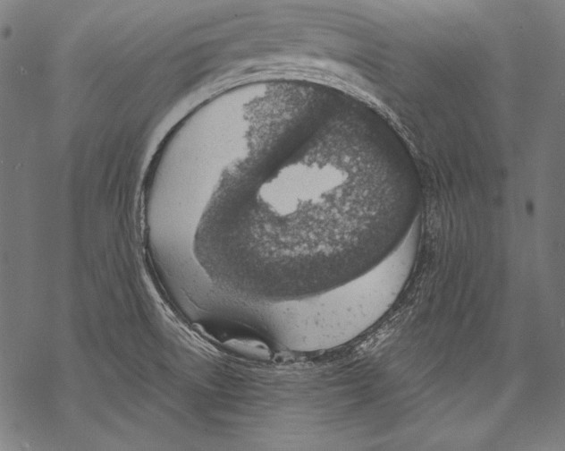 X0000068751522200605191546