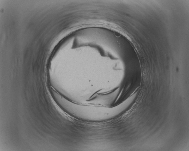 X0000068751523200605191546