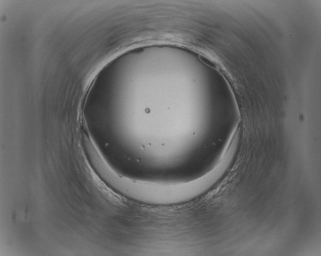 X0000068751524200605191546