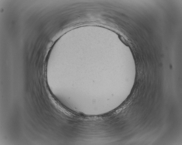 X0000068751526200605191546