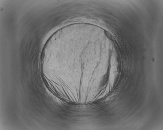 X0000068751527200605191546