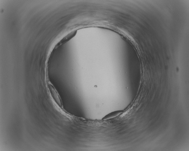 X0000068751528200605191546