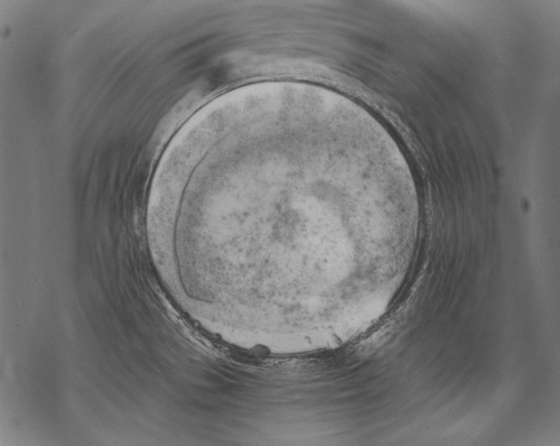 X0000068751529200605191546