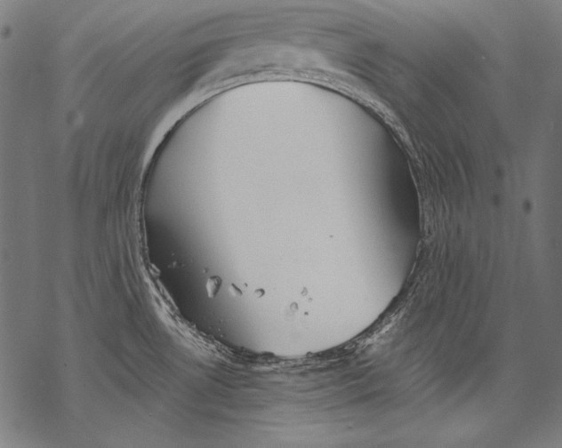 X0000068751530200605191546