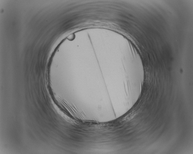 X0000068751531200605191546