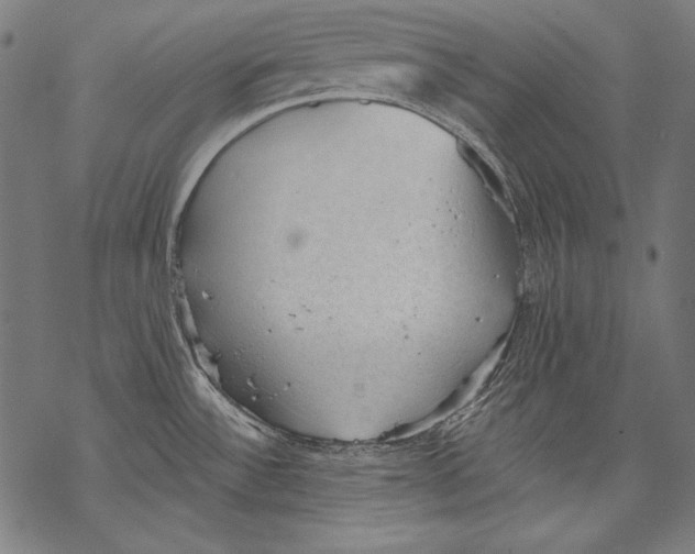 X0000068751532200605191546