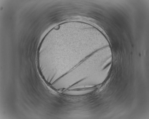 X0000068751533200605191546