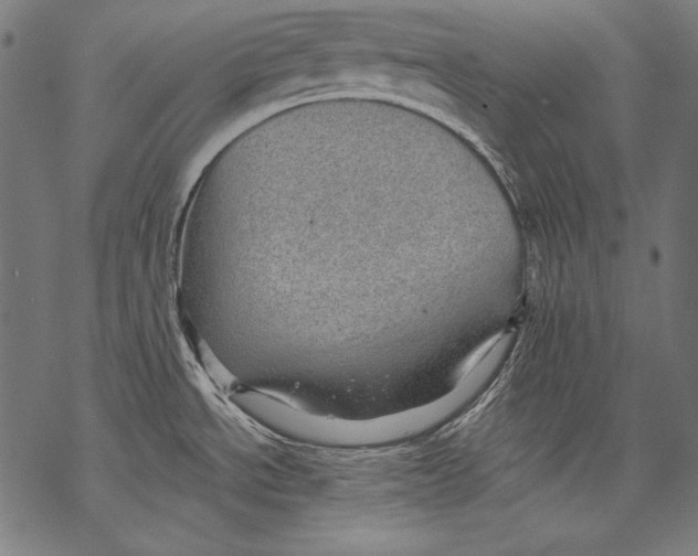 X0000068751534200605191546