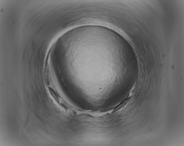 X0000068751536200605191546