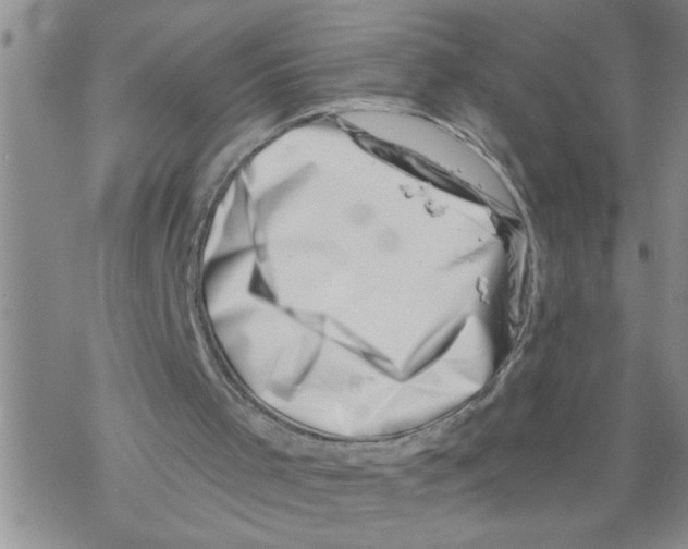 X0000068750001200605262128
