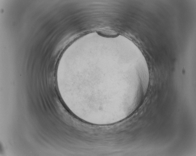 X0000068750002200605262128