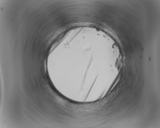 X0000068750013200605262128