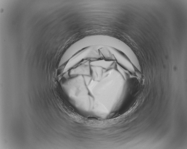 X0000068750045200605262127