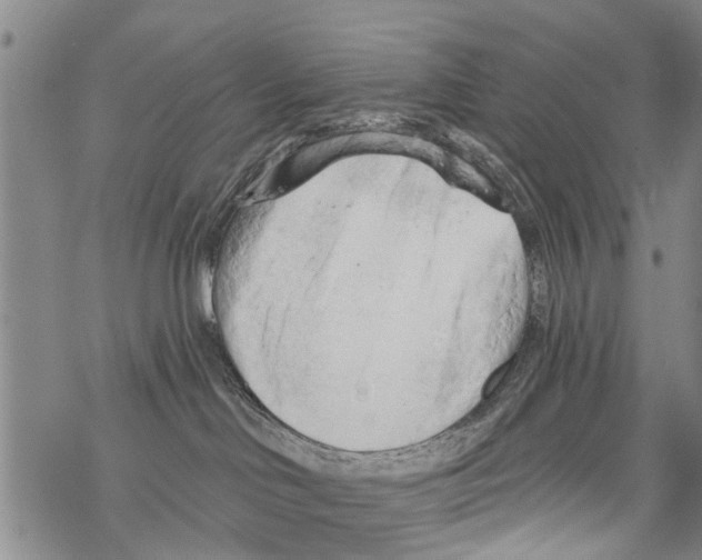 X0000068750046200605262127