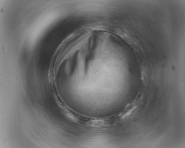 X0000068750052200605262126
