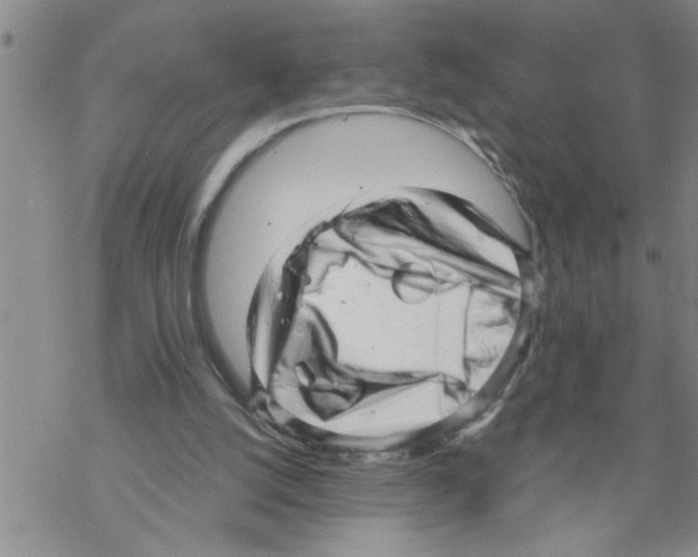 X0000068750056200605262126