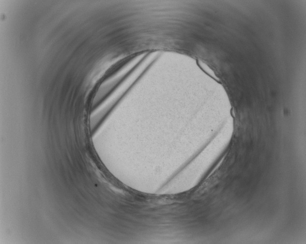 X0000068750098200605262126