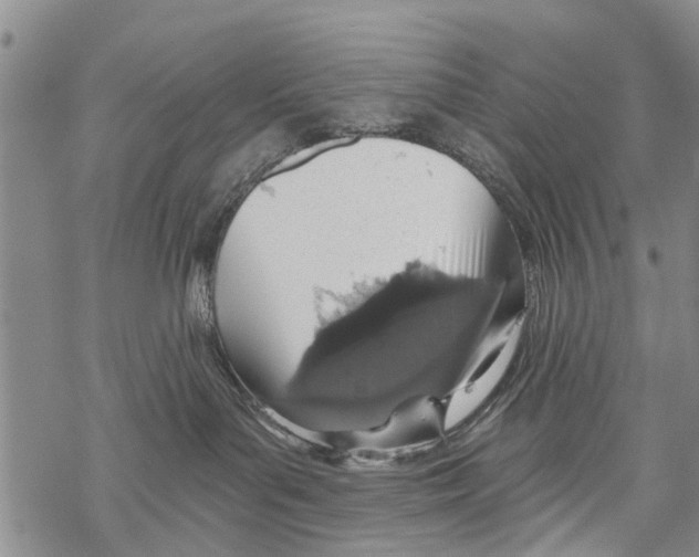 X0000068750143200605262125
