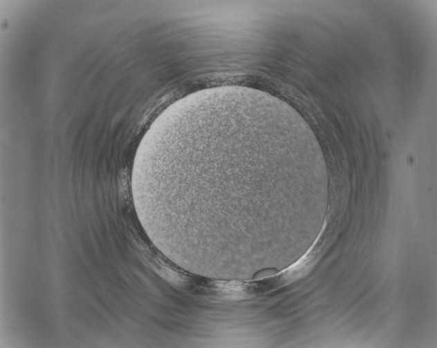 X0000068750144200605262125