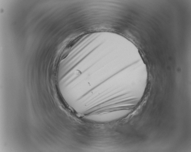 X0000068750193200605262125