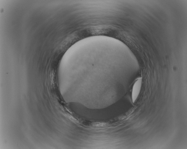 X0000068750219200605262124