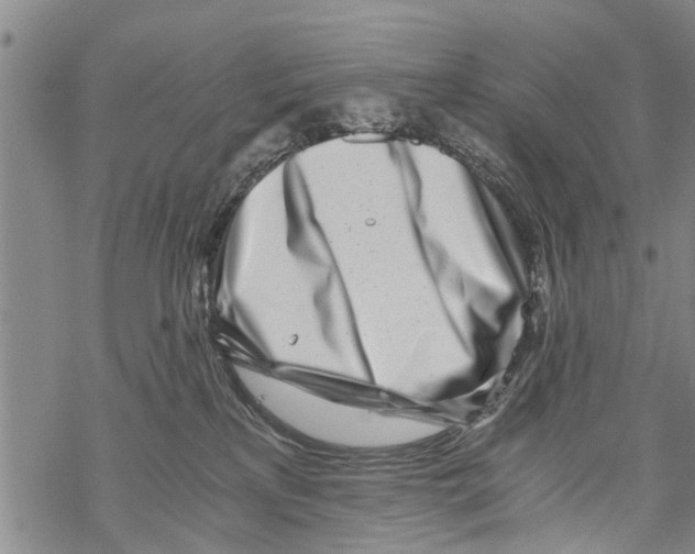 X0000068750233200605262124