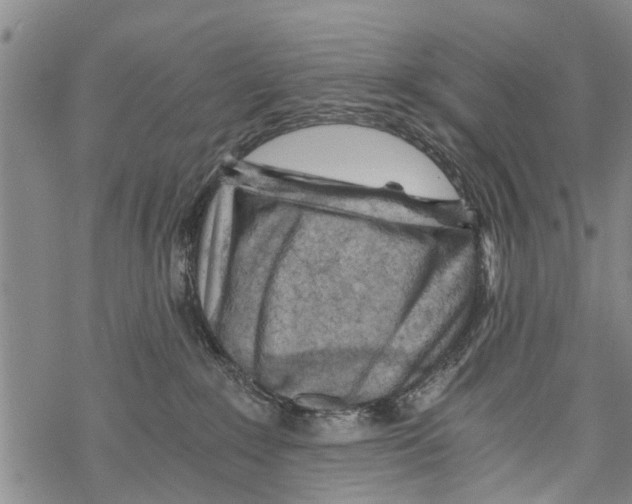 X0000068750235200605262124
