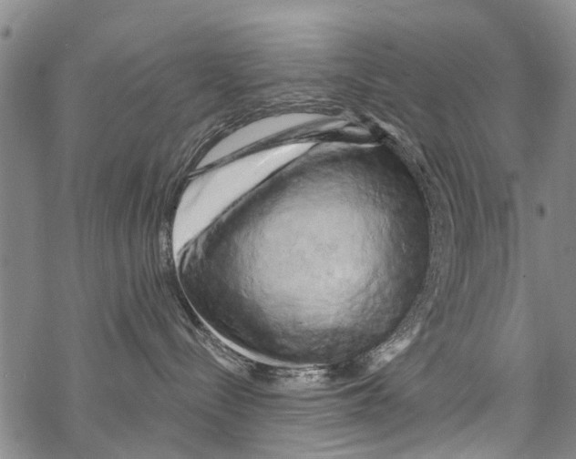 X0000068750288200605262124