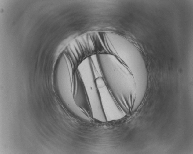 X0000068750340200605262122