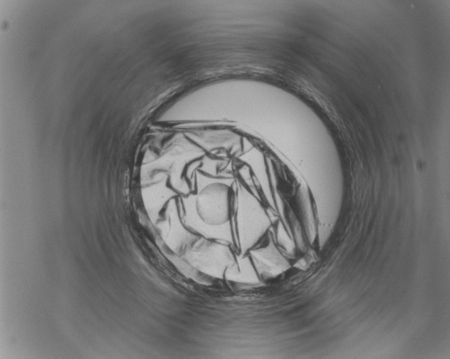 X0000068750356200605262122