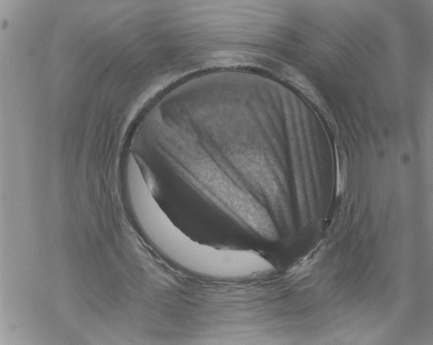 X0000068750387200605262122