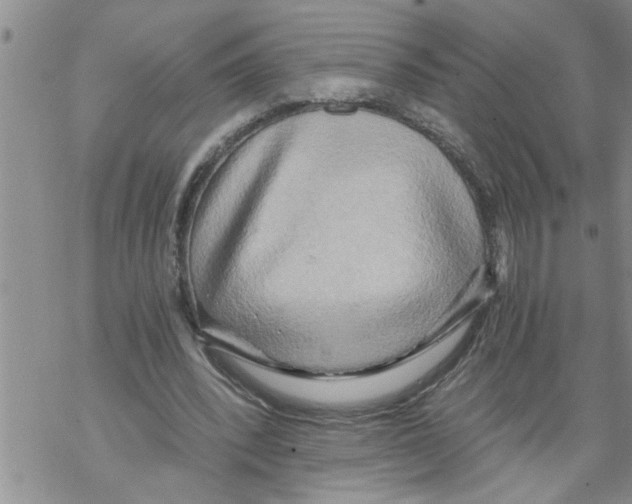 X0000068750392200605262121