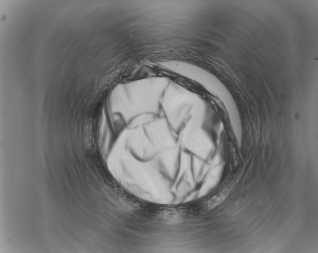 X0000068750416200605262121