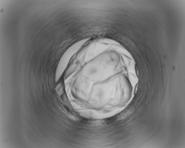 X0000068750432200605262121