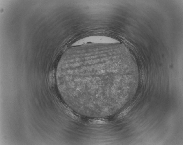 X0000068750475200605262121