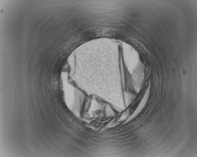 X0000068750513200605262119