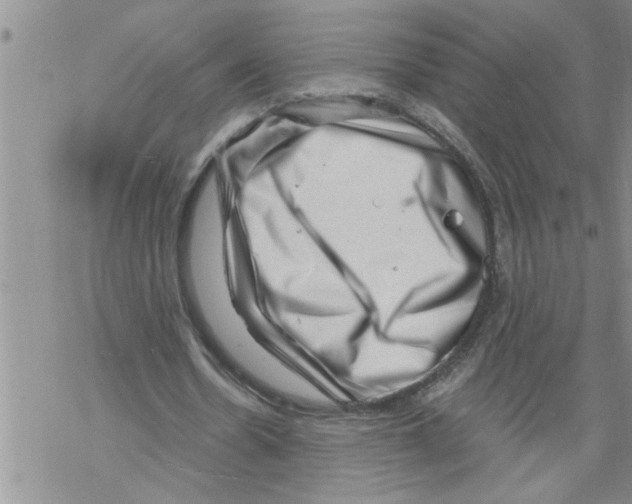 X0000068750530200605262118