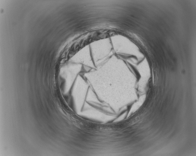 X0000068750531200605262118