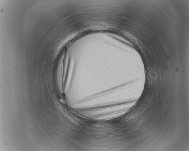X0000068750535200605262118