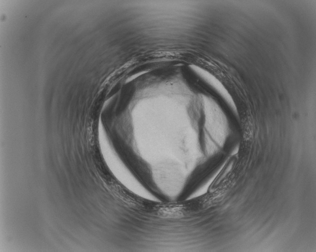 X0000068750560200605262119