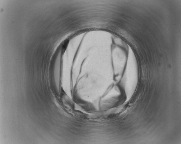 X0000068750580200605262118