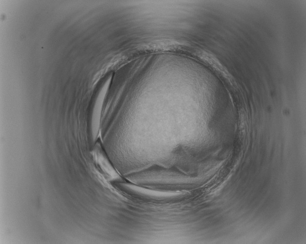 X0000068750585200605262118