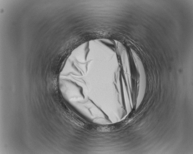 X0000068750613200605262118