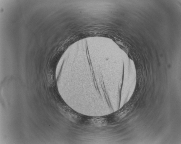 X0000068750615200605262118
