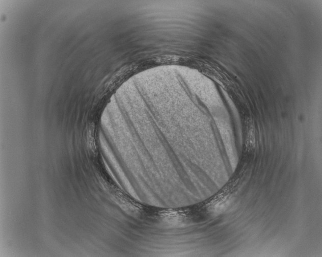 X0000068750616200605262118