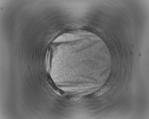 X0000068750624200605262118