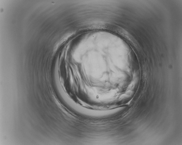 X0000068750677200605262117