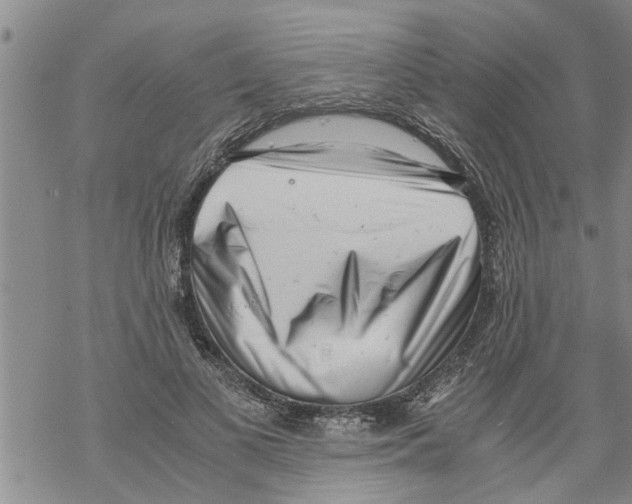 X0000068750693200605262116