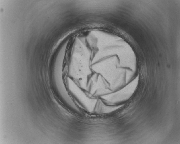 X0000068750722200605262115